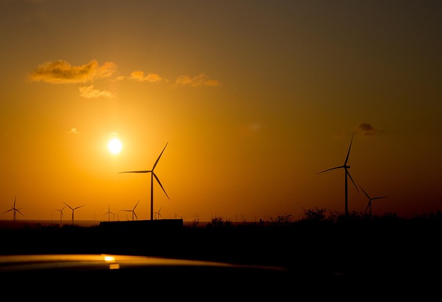 Energy Efficiency Programs