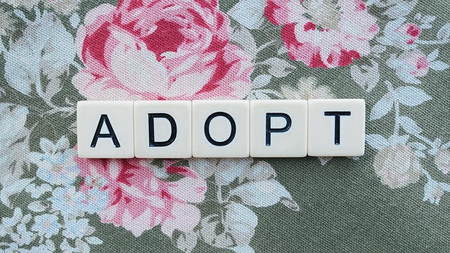 Navigating RPA Adoption Challenges