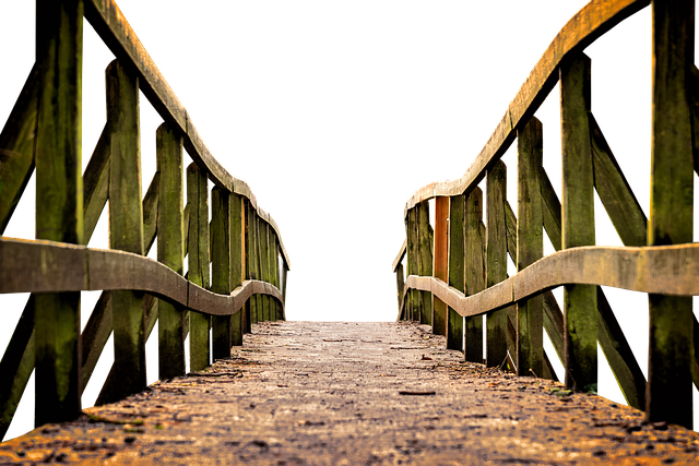 Navigating the Transition Challenges