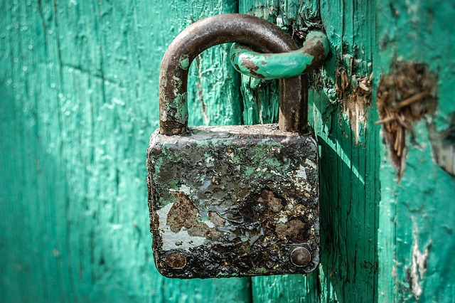 Social Security for the Self-Employed: A Practical Look