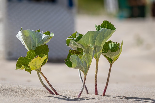 Building a Resilient Business: Strategies for Thriving Amidst Economic Uncertainty