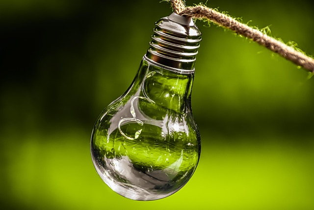Integrating Sustainability and Social Impact