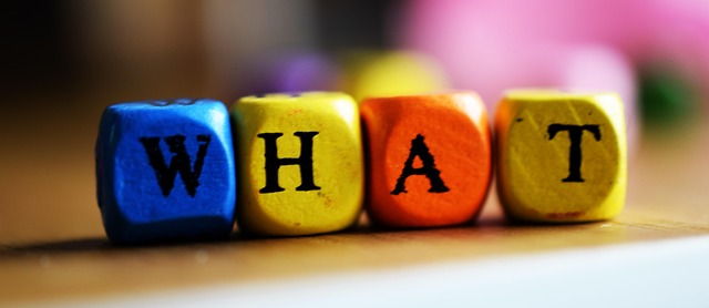 What is Palantir (PLTR) Stock?